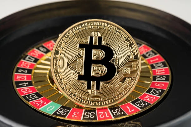 dausbet What the App Brings You